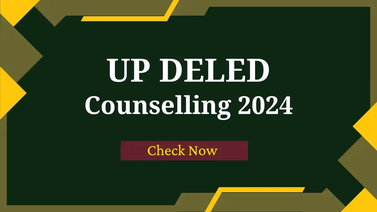 UPDELED 2024 Online Counseling