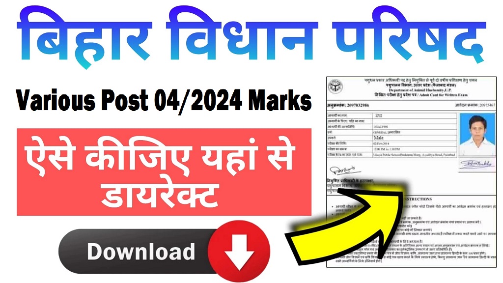 Bihar Vidhan Sabha Advt No 042024 Marks 2025